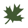 Chesterbrook School of Natural Learning