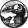 Curia On The Drag