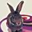 Curious Critters by casai