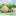 Curwensville Alliance Church