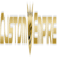 Custom Empire LLC