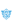 Custom Gun Solutions LLC