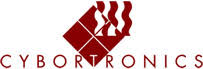 Cybortronics Inc