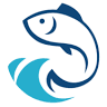 Cape York Freedom Adventure Charters