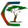 Cypress Engineering Group