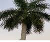 Cypress Trail RV Lot Sales