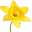 Daffodil Accounting Limited