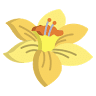 Daffodils Gift Shoppe
