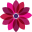 Daisy Chocolates LLC