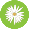 Daisy Clothing Boutique