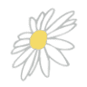 daisy dig'ins Flowers & Gifts