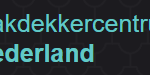 Dakdekker Nijmegen