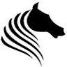 Jaime Dancer Dressage