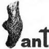 Dantzarte