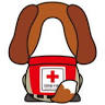 Date Red Cross Hospital