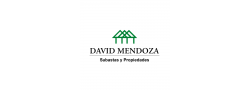 David Mendoza Subastas y Propiedades