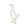 DCUK - The Duck Company