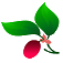 Dea Medic