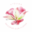 Decorar com Flores