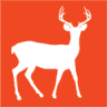 Dp storage & Uhaul