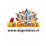 De Gerbera's
