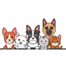 DeKalb Animal Clinic