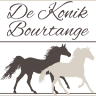 B&B De Konik Bourtange