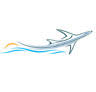 Delaware Coastal Airport (GED)