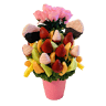 Delectable Fruits