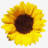 Vakantiewoning De Lokroep*****