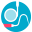 Dental Accounting Association