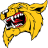 Dent-Phelps R-3 School