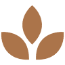 Designed Living, Inc.
