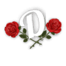 Designed Memories Florist