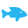 Aquarium Design Ltd.