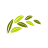 Devi Food Products Rice Industry Export Unit