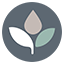 DiaCare Diabetes Education