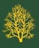 Diamond Valley Tree Service