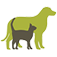 Dierenartspraktijk Donck