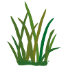 Di Green