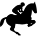 Din Sadelmager