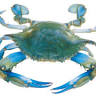 Kathy's Crab House