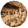Mesa Verde Tours