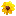 Divayn