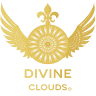 Divine Vape Store