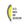 Delta Marsh Bird Observatory