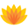 D Money Bangladesh Ltd.