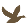 DNA Guide Service - Minnesota Duck Hunting Guides