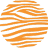 D&N Geotechnical