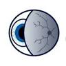 Maziar Lalezary, M.D. - Retina Specialist